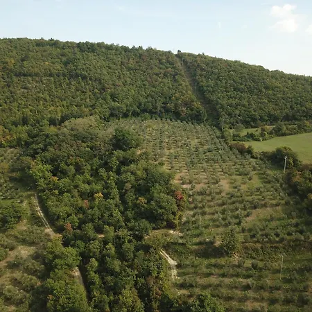 Fattoria Poggio Di * Fiesole