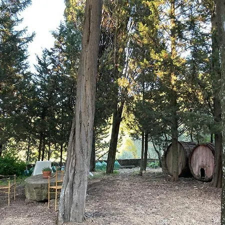 Farm stay Fattoria Poggio Di *