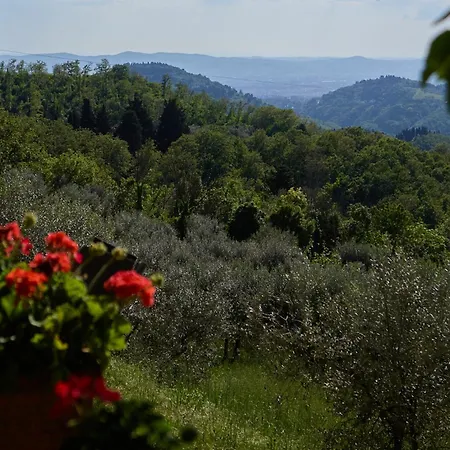 Fattoria Poggio Di * Fiesole