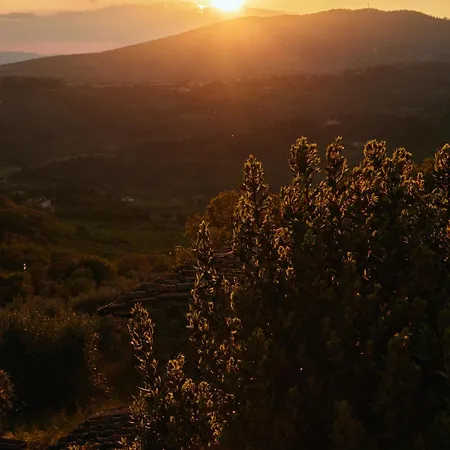 Farm stay Fattoria Poggio Di