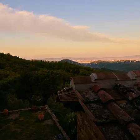 Fattoria Poggio Di