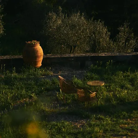 Fattoria Poggio Di
